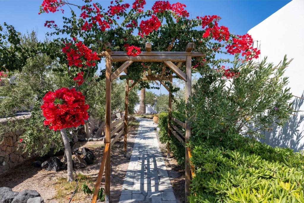 Görögország, Santorini, Vourvoulos, Anema Hotel, kert